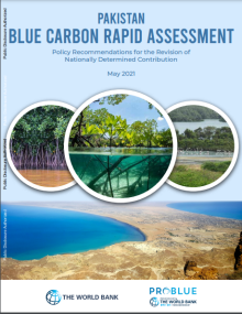 Pakistan Blue Carbon Rapid Assessment report cover