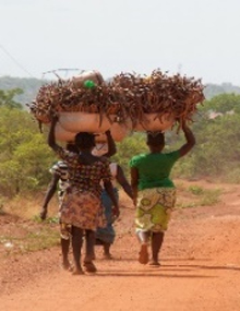 Benin Country Economic Memorandum: Accelerating the Growth Momentum and Creating Better Jobs