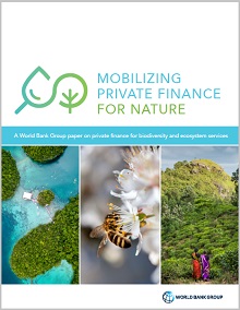 Mobilizing private finance for nature