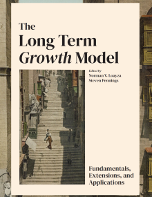 Cover of The Long Term Growth Model eBook