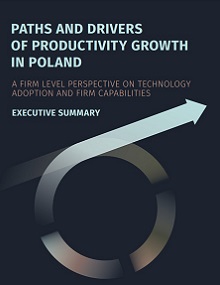 Poland Productivity report - technology adoption Executive Summary cover Eng