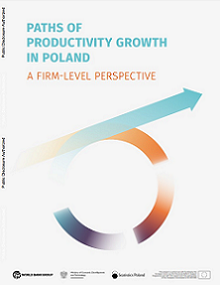 Poland Productivity Report