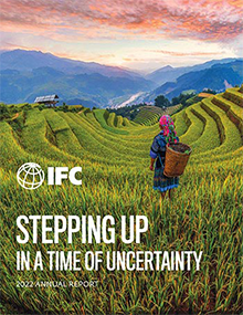 IFC Annual Report 2022