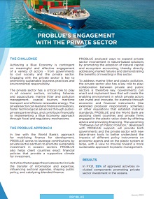 Problue Engagement with the Private Sector factsheet