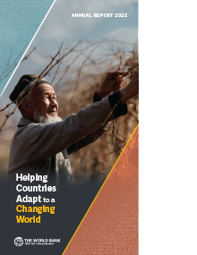 World Bank Annual Report 2022