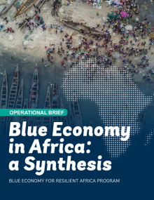 Blue economy in Africa: a Synthesis