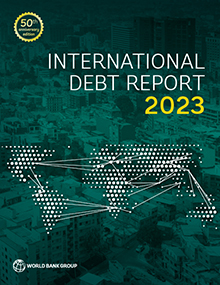 International Debt Report 2023