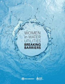 Breaking Barriers Report Cover