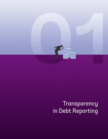 02 debt transparency - Website 220x285