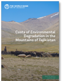 Env-Degradation-TJ