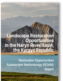 Landscape_Restoration_Kyrgyz_R