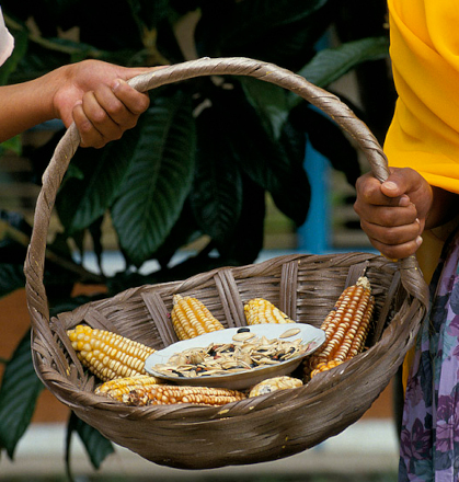 Women holding basket of corn. Mexico. Photo: © Curt Carnemark / World Bank