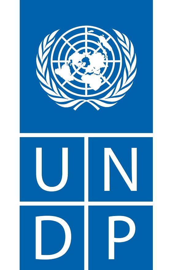UNDP logo