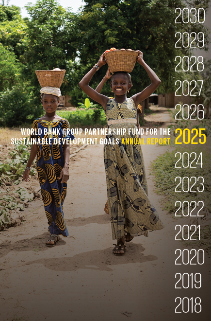 25 SDG Fund AR 25 SDG Fund AR