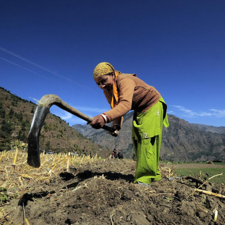 Digital land titling opens a new way to secure rights for the poor in Punjab, Pakistan. Digital land titling opens a new way to secure rights for the poor in Punjab, Pakistan.