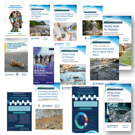 PROBLUE Publications covers