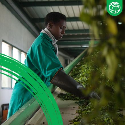 Agriculture processing worker