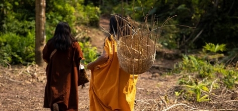 Indigenous Women in the Amazon forest