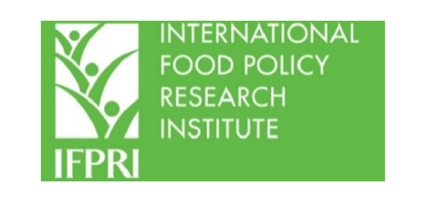 IFPRI logo with a white border