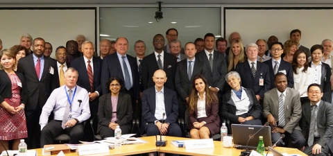 Image of ICP Technical Advisory Group: members sitting and standing
