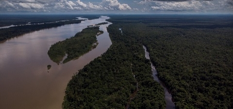 Amazon Sustainable Landscapes Program 