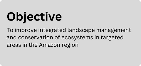 Amazon Sustainable Landscapes Program objective