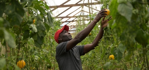 Jobs-through-human-capital-investments.jpg