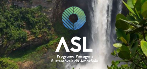 Relatório Anual ASL