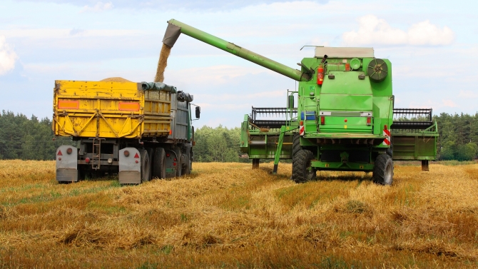 Truck taking the grain from the harvester