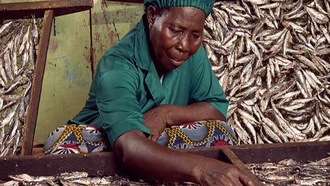 The women who smoke fish in Katanga