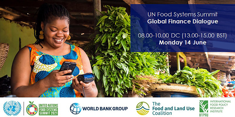 UN Food Systems Summit Global Finance Dialogue