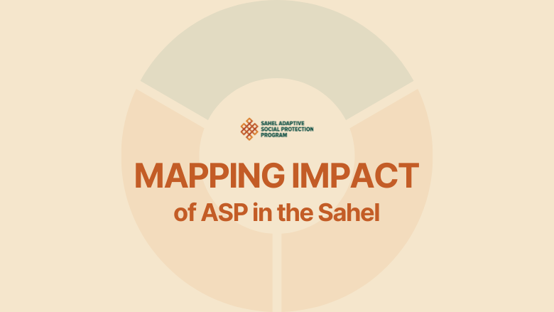 SASPP Website Thumbnail Mapping Impact EN