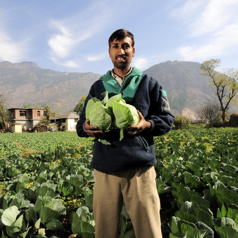 A new World Bank project will focus on providing better education at agricultural universities in India.