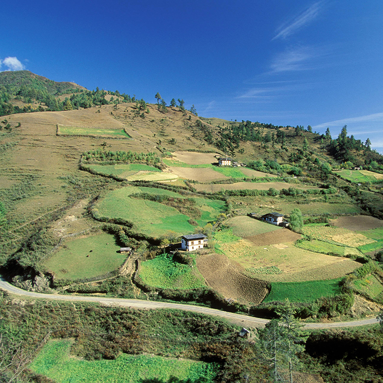 agriculture and food