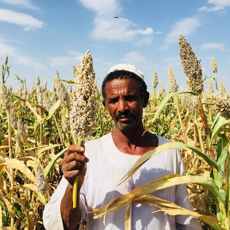 Climate change in Sudan—If you can’t beat it, adapt to it  