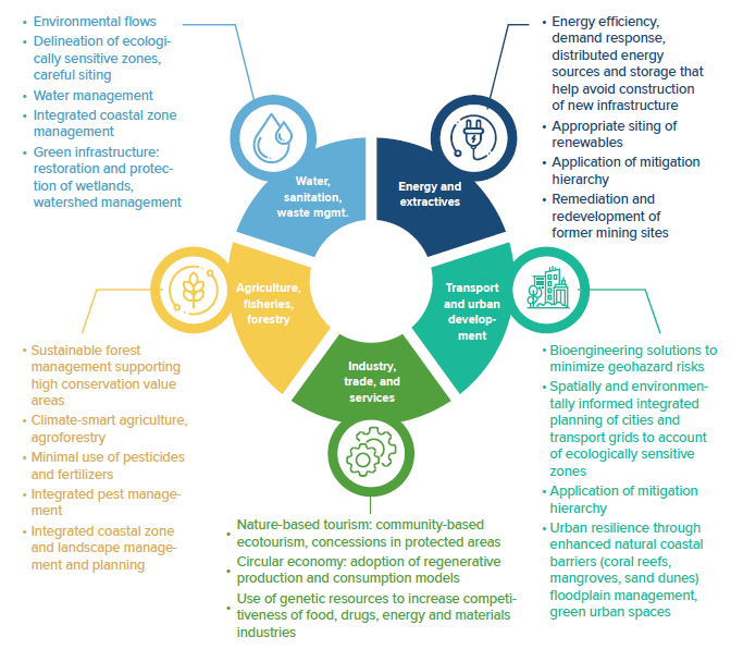 infographic examples of integrating nature into key economic factors 