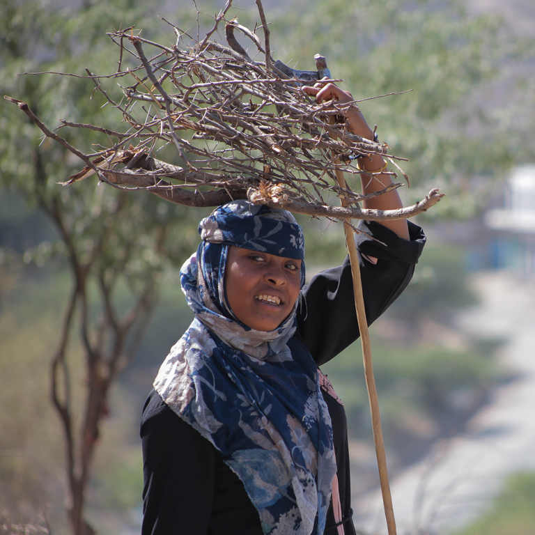 Wasila‎ heading home with the firewood so she could make lunch for her family. 