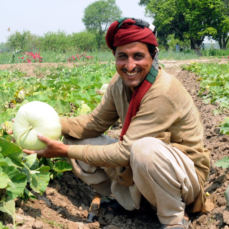 Male farmer sitting with large produce in field