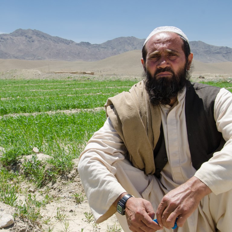Male agricultural beneficiary of irrigation project in Balochistan sitting in front of green field
