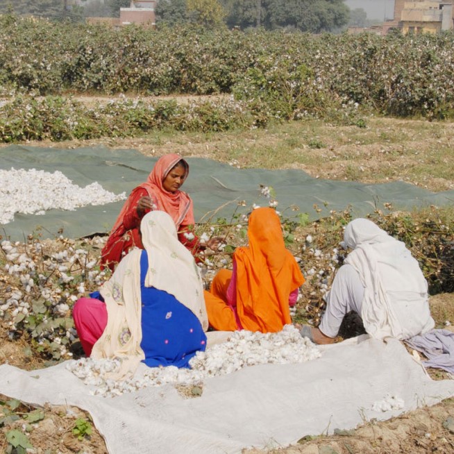 Female field workers with produce