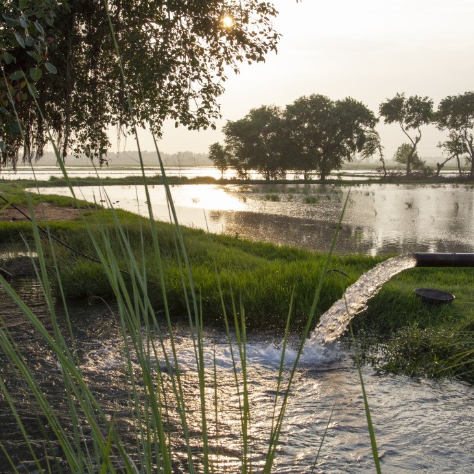 Irrigation field and sunset