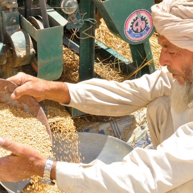 Man pouring produce into bag