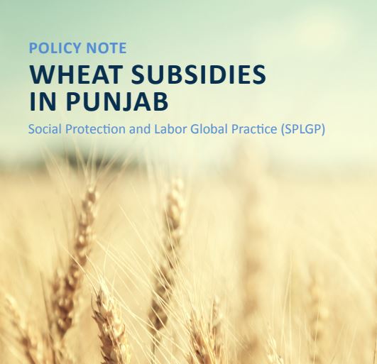 Front cover of report with wheat field