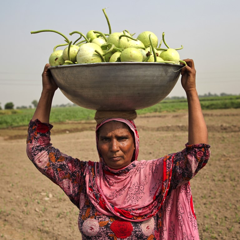 Female agricultural field worker holding produce overhead