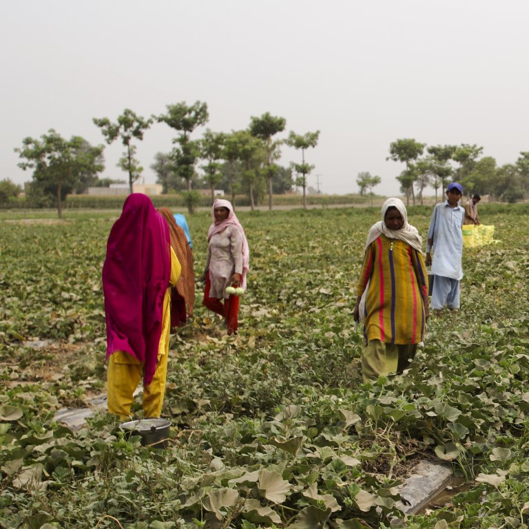 Multiple field workers in Punjab