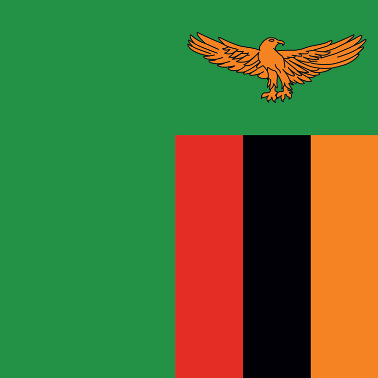 A cropped version of Zambia's flag.