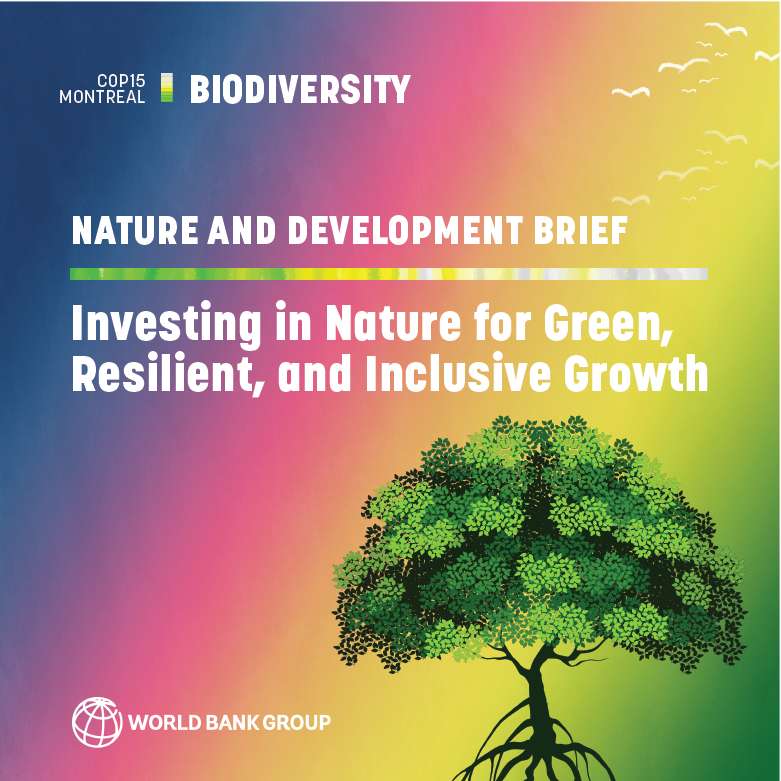 Investing in Nature WBG Brief for COP15