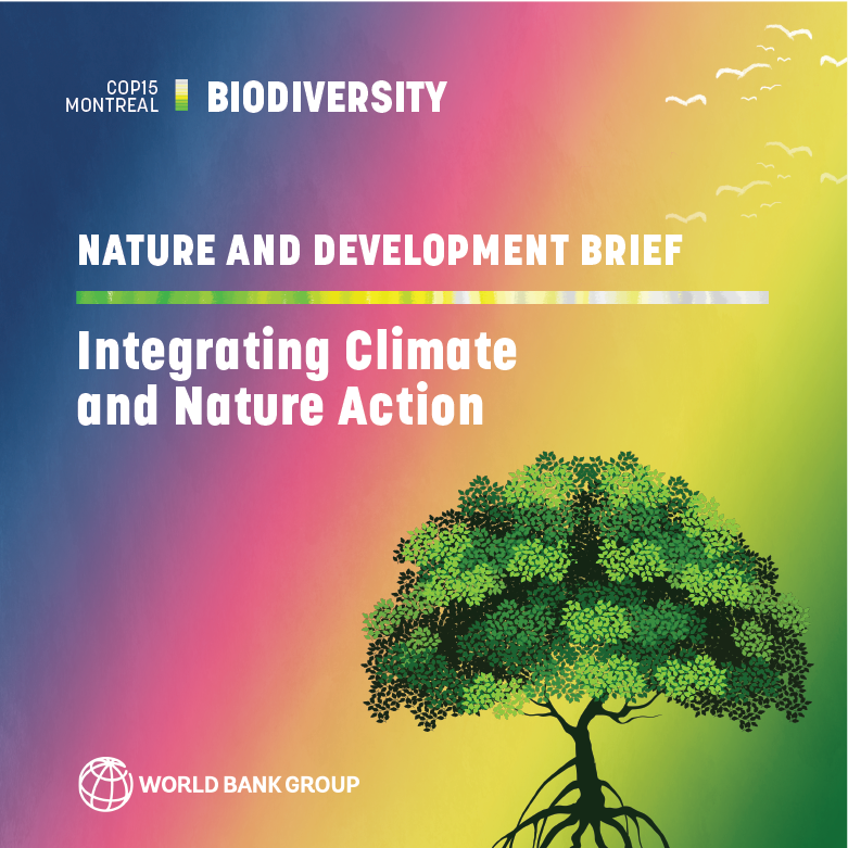 Integrating Climate and Nature WBG Brief for COP15