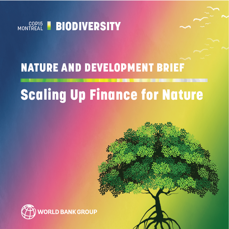 Scaling Up Finance for Nature WBG Brief COP15