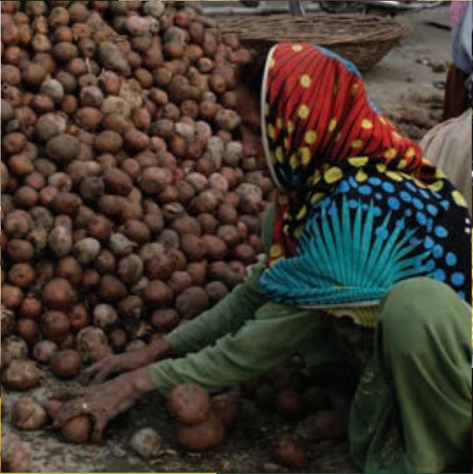 Pakistani woman sorting through fruit crops with red and blue headscarf